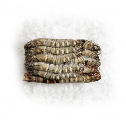 Crevette entière crue black...