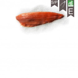 Filet de saumon NORV BIO...