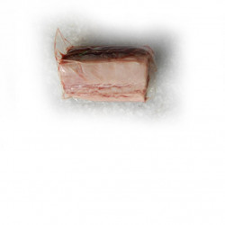 Longe de thon décong RTE...