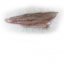 Filet de maigre (4/5)...
