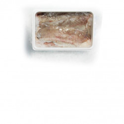 Filet de Brosme A/P 300/600gr