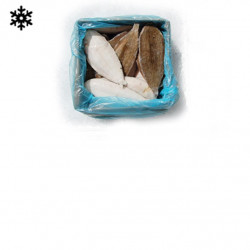 Sole 500/600G SURG 