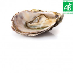 Huitres Camargue N3 (ENV 24...