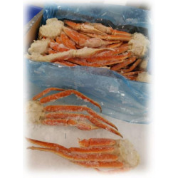 snow crab