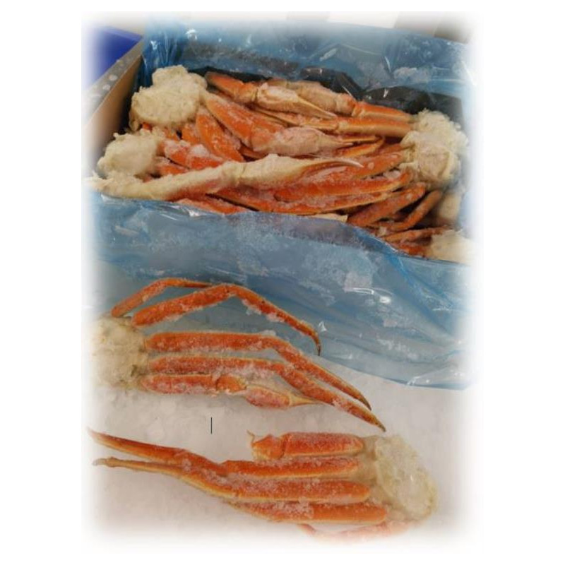 snow crab