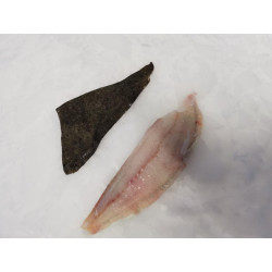 filet de turbot