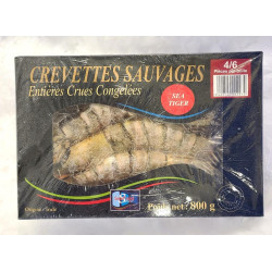 crevettes sea tiger 4/6