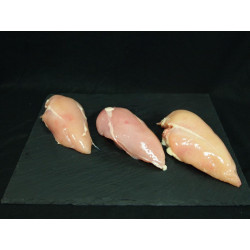 Filet de poulet - UE