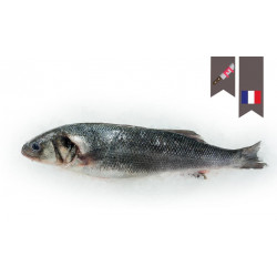 Bar 1.5/2.5KG en filet brut...