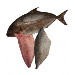 Sériole dumerili 300/400G -...