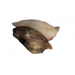 Filet de St pierre - ANE