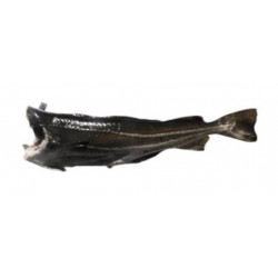 Cabillaud 4/6kg en filet...
