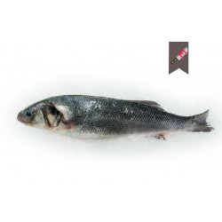 Bar 300/400gr Portefeuille...