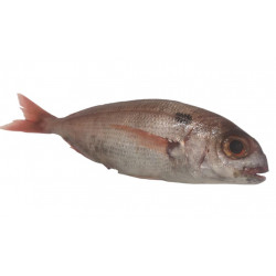 Dorade 1/2K en filet brut...