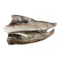 Filet de cabillaud A/P 1k+...