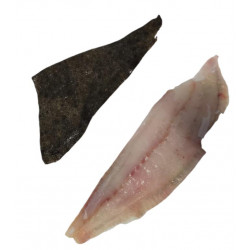 Filet de Turbot 250/400G -...