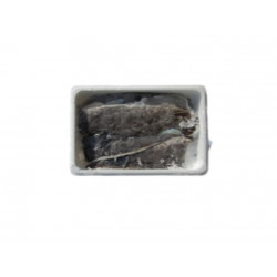 Filet de loup de mer A/P...