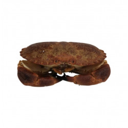 Tourteaux 400/600G - ANE