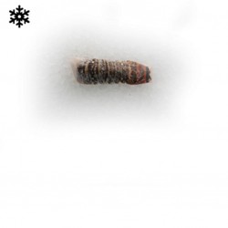 Queue de langouste 6OZ...