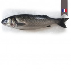 Bar 800/1K  - FRANCE