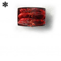 Carabineros  6-7 PCS au Kg...