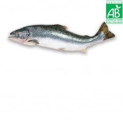 Saumon sauvage Sockeye 1/3