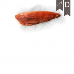 Filet de saumon 1.2/1.5...