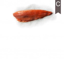 Filet de saumon 1.2/1.5...