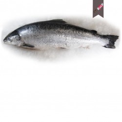 Saumon 6/7 sup en filet...
