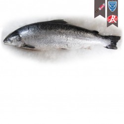 Saumon 6/7 Label rouge Loch...