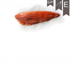 Filet de saumon 1.9/2.2...