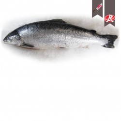 Saumon 5/6 label rouge en...