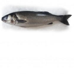 Bar300/500G  - MEDIT