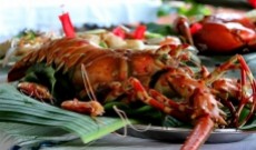 Quel est le poids d'une langouste