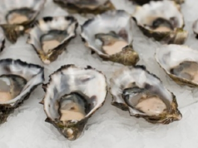 Tout ce que vous devez savoir sur les huîtres : prix, choix et variétés